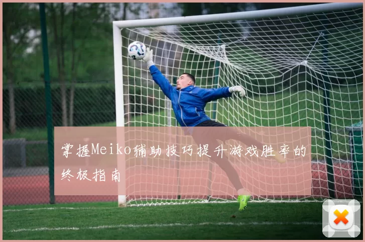 掌握Meiko辅助技巧提升游戏胜率的终极指南