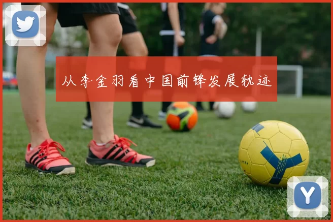 从李金羽看中国前锋发展轨迹