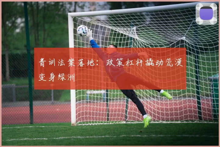 青训法案落地：政策杠杆撬动荒漠变身绿洲