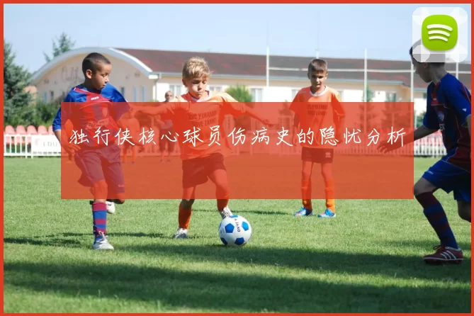 独行侠核心球员伤病史的隐忧分析