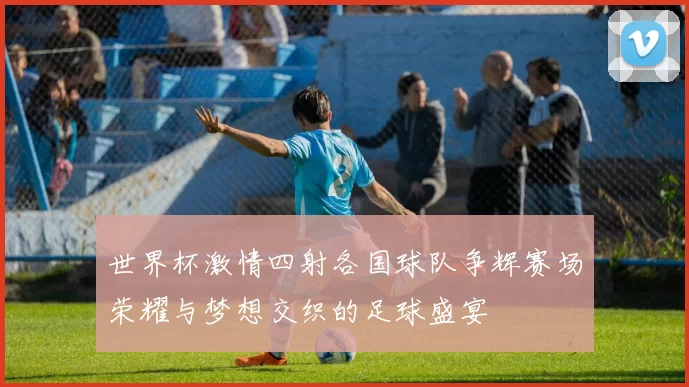 世界杯激情四射各国球队争辉赛场荣耀与梦想交织的足球盛宴
