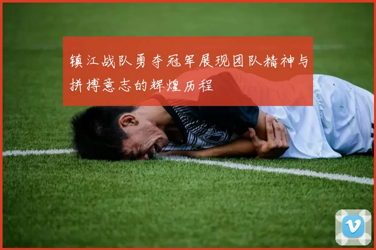 镇江战队勇夺冠军展现团队精神与拼搏意志的辉煌历程