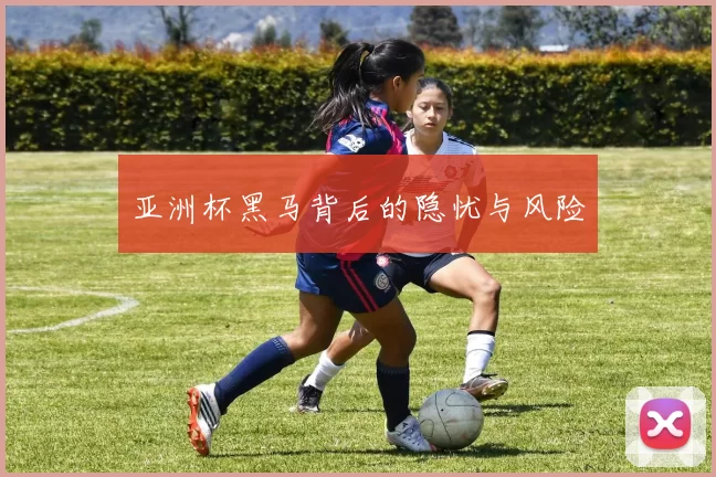 亚洲杯黑马背后的隐忧与风险