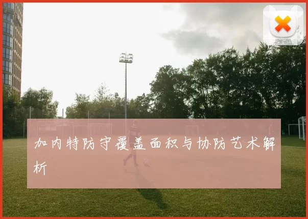 加内特防守覆盖面积与协防艺术解析