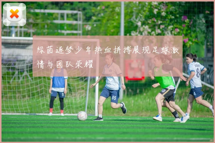 绿茵逐梦少年热血拼搏展现足球激情与团队荣耀