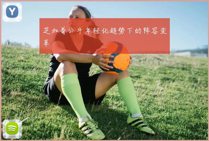 芝加哥公牛年轻化趋势下的阵容变革