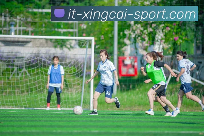 多媒体互动体验